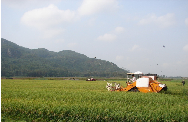 2020052816245809.png 图片9.png